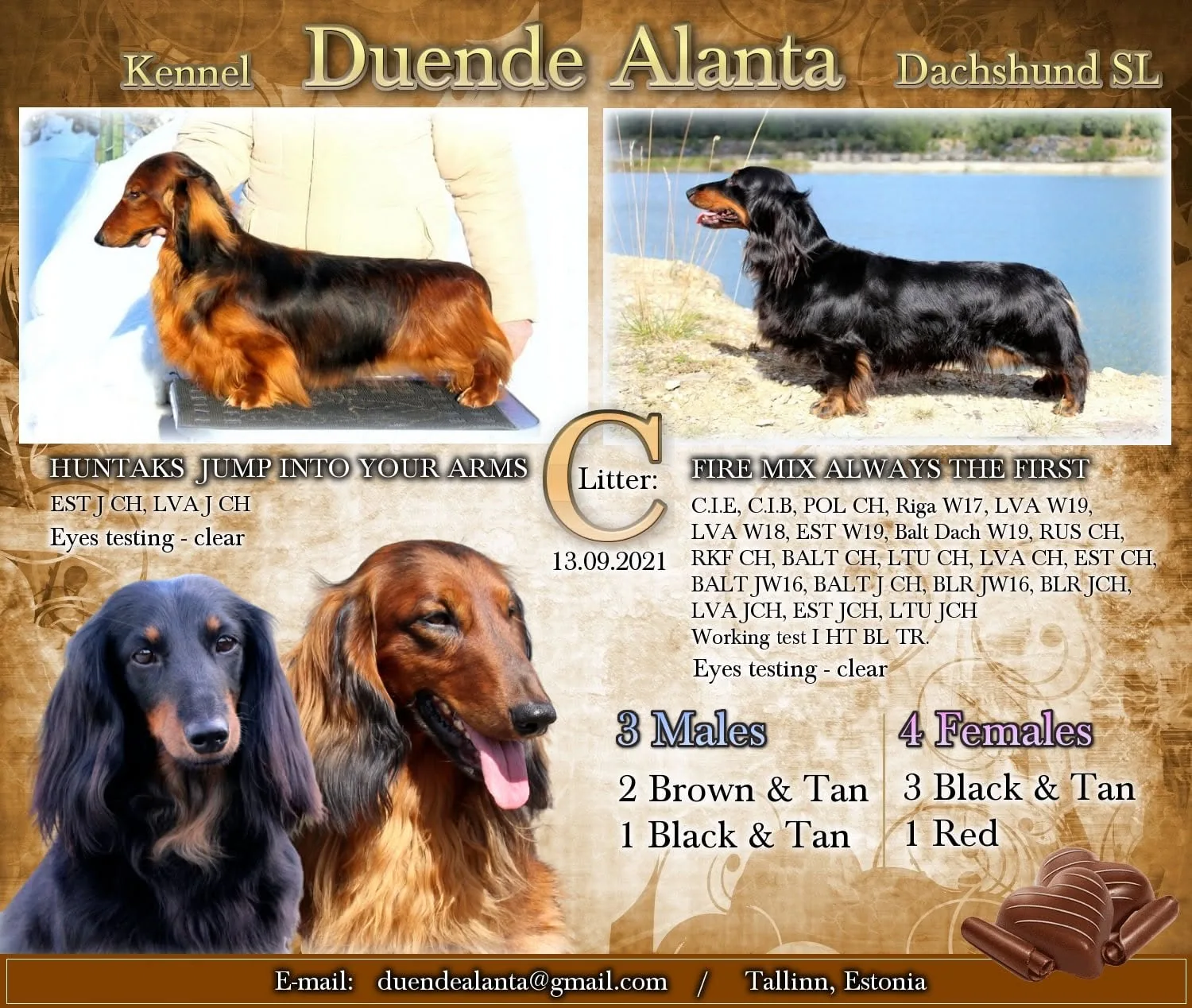 Litter C — Duende Alanta