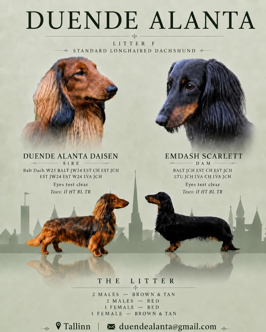 Litter F — Duende Alanta